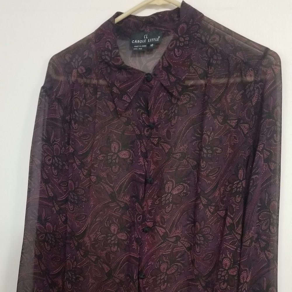 Sheer long sleeve blouse